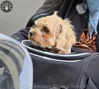 Jahrestreffen 2024 Bad Soden 112