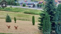 Jahrestreffen 2024 Bad Soden 276