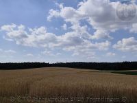 582 CTC Jahrestreffen 2025 Fremdingen